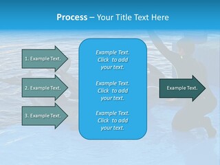 Dolphin Trainer Feeding Dolphins PowerPoint Template