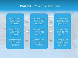 Dolphin Trainer Feeding Dolphins PowerPoint Template