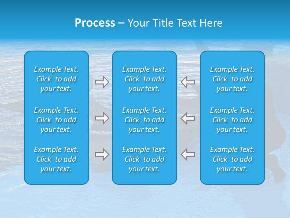 Dolphin Trainer Feeding Dolphins PowerPoint Template