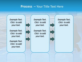 Dolphin Trainer Feeding Dolphins PowerPoint Template