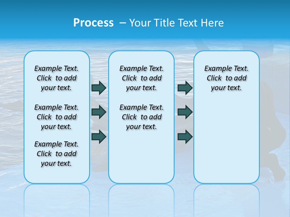 Dolphin Trainer Feeding Dolphins PowerPoint Template