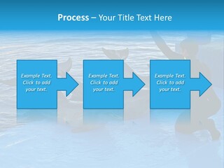 Dolphin Trainer Feeding Dolphins PowerPoint Template