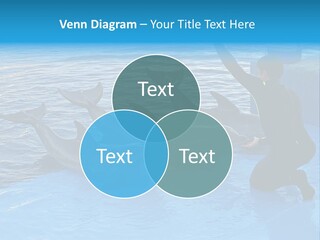 Dolphin Trainer Feeding Dolphins PowerPoint Template