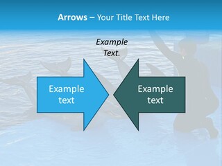 Dolphin Trainer Feeding Dolphins PowerPoint Template