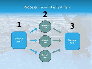 Dolphin Trainer Feeding Dolphins PowerPoint Template