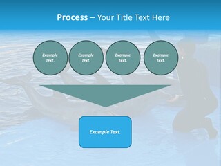 Dolphin Trainer Feeding Dolphins PowerPoint Template