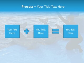 Dolphin Trainer Feeding Dolphins PowerPoint Template