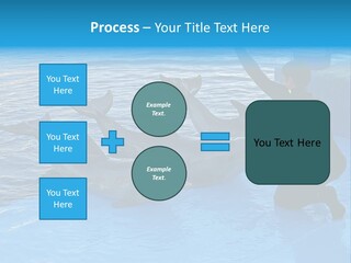 Dolphin Trainer Feeding Dolphins PowerPoint Template