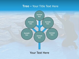 Dolphin Trainer Feeding Dolphins PowerPoint Template
