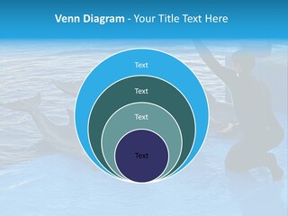 Dolphin Trainer Feeding Dolphins PowerPoint Template