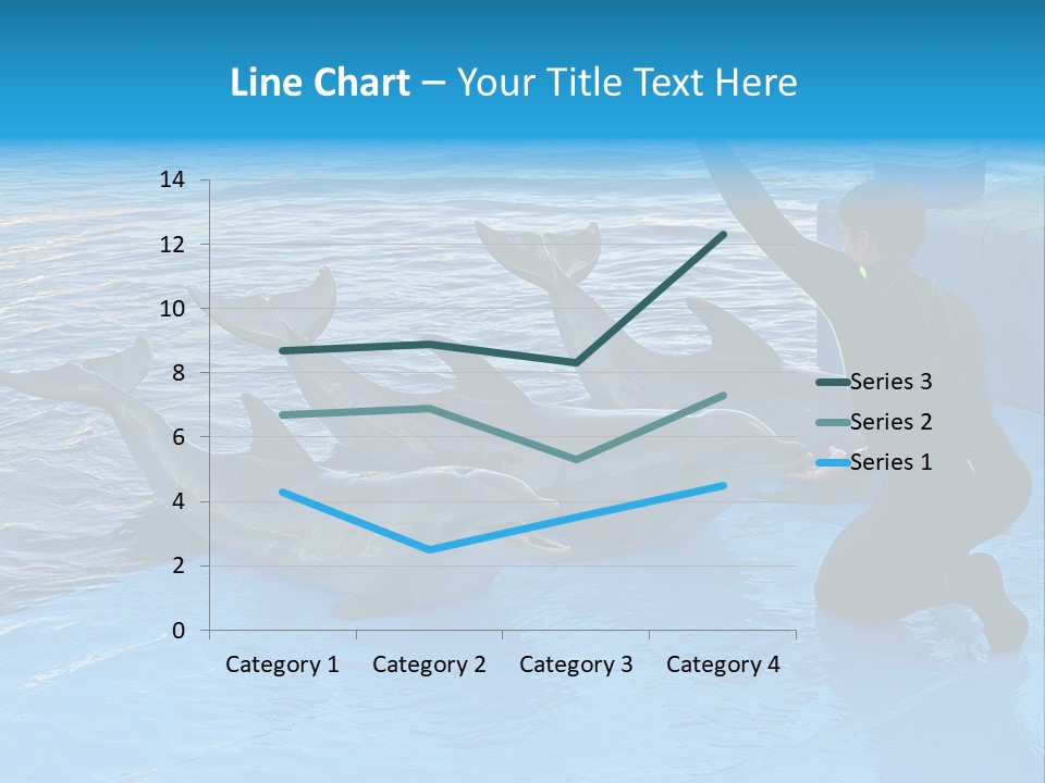 Dolphin Trainer Feeding Dolphins PowerPoint Template