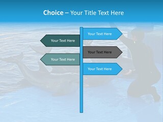 Dolphin Trainer Feeding Dolphins PowerPoint Template