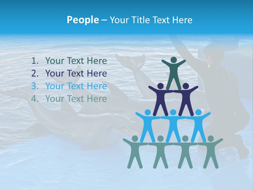Dolphin Trainer Feeding Dolphins PowerPoint Template