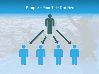 Dolphin Trainer Feeding Dolphins PowerPoint Template