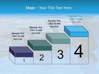 Dolphin Trainer Feeding Dolphins PowerPoint Template