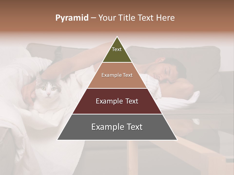 Man On Couch With Cat PowerPoint Template