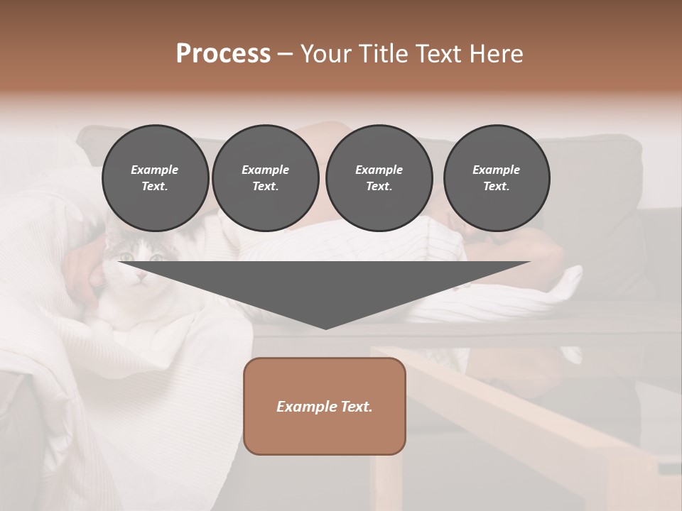 Man On Couch With Cat PowerPoint Template