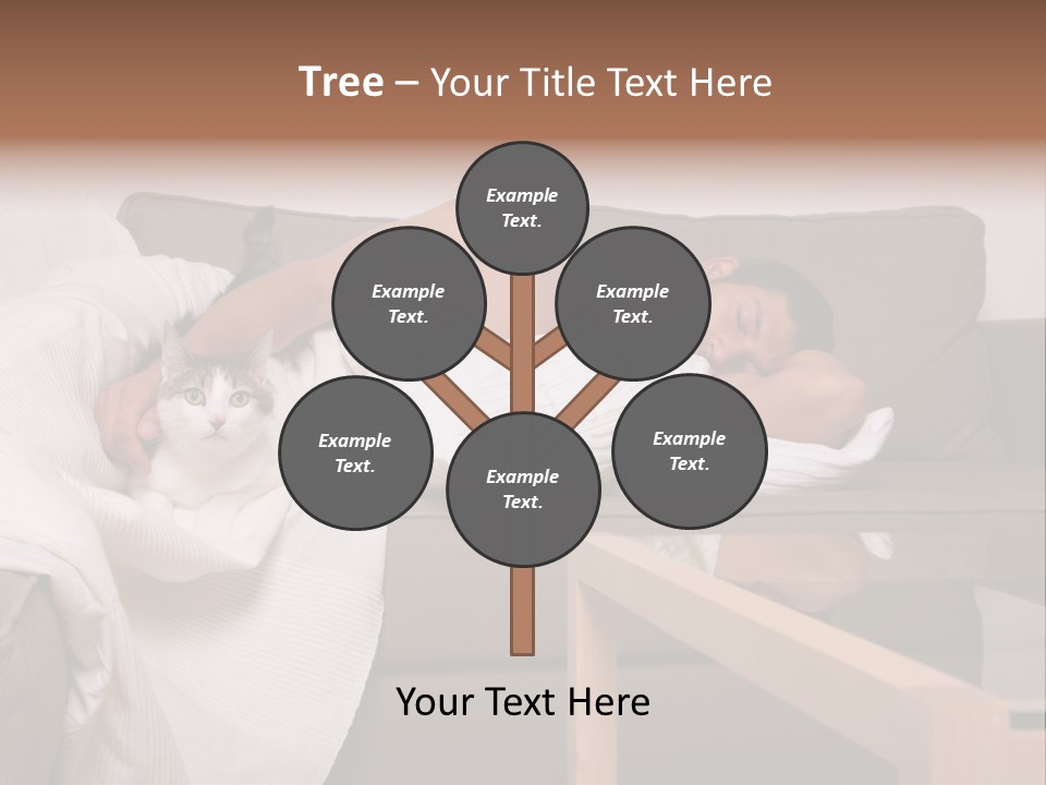 Man On Couch With Cat PowerPoint Template