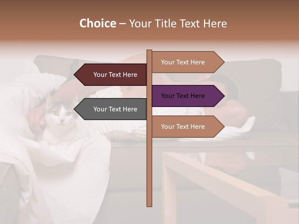 Man On Couch With Cat PowerPoint Template