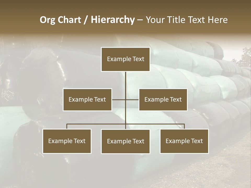 Circular Bales Of Hay Wrapped In Blue And Black Colored Plastic PowerPoint Template