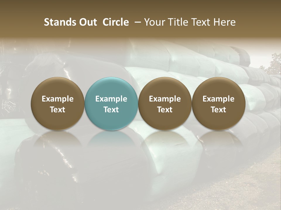 Circular Bales Of Hay Wrapped In Blue And Black Colored Plastic PowerPoint Template