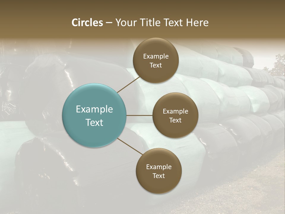 Circular Bales Of Hay Wrapped In Blue And Black Colored Plastic PowerPoint Template