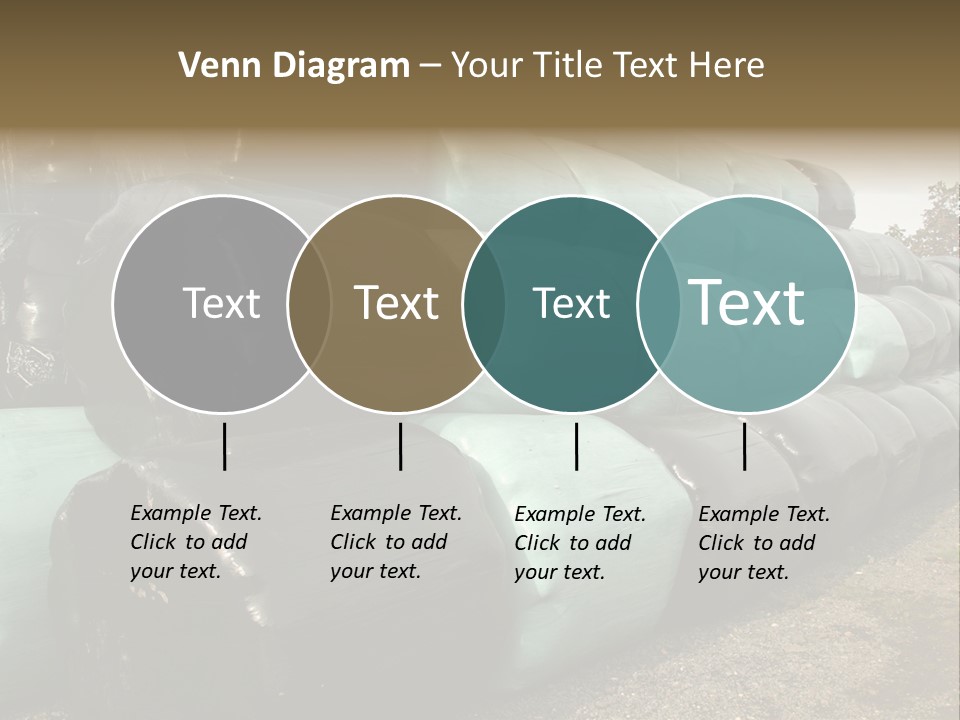 Circular Bales Of Hay Wrapped In Blue And Black Colored Plastic PowerPoint Template