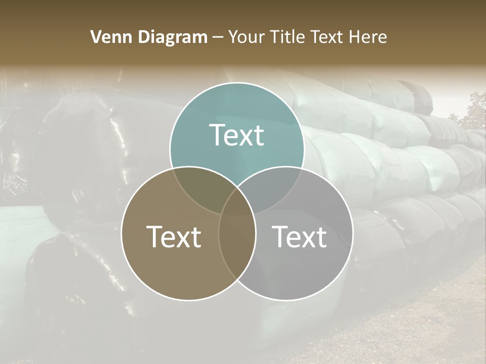 Circular Bales Of Hay Wrapped In Blue And Black Colored Plastic PowerPoint Template