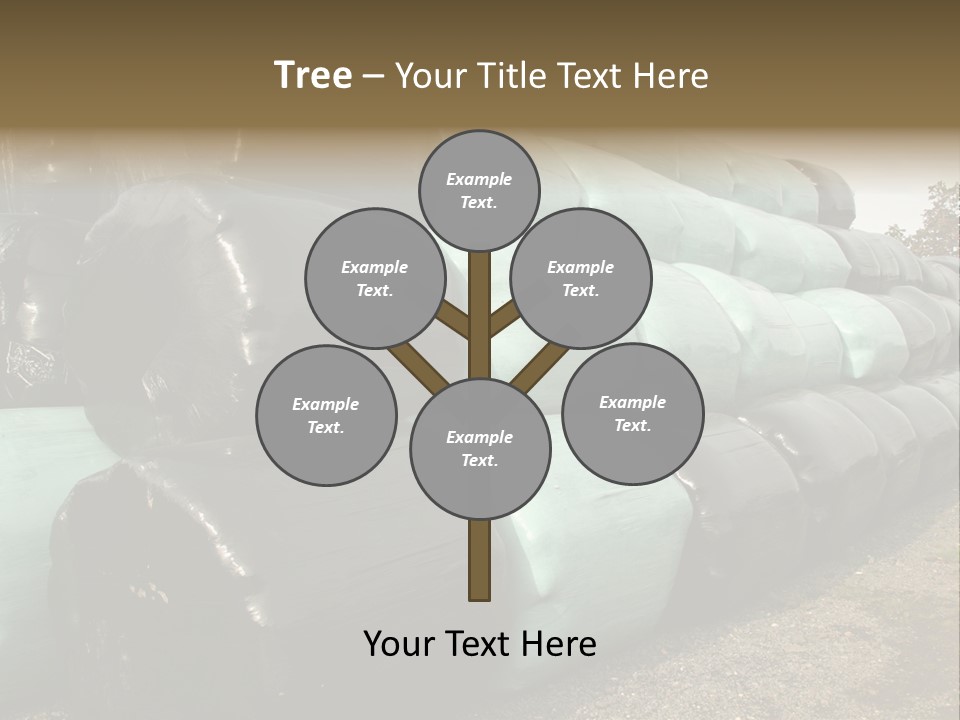 Circular Bales Of Hay Wrapped In Blue And Black Colored Plastic PowerPoint Template