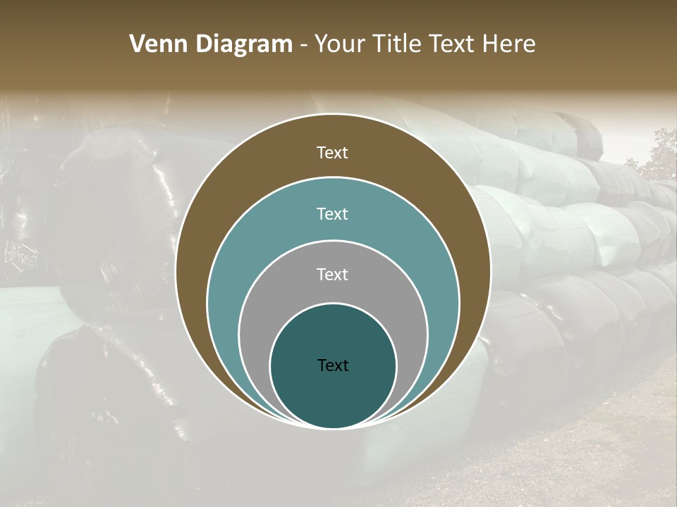 Circular Bales Of Hay Wrapped In Blue And Black Colored Plastic PowerPoint Template