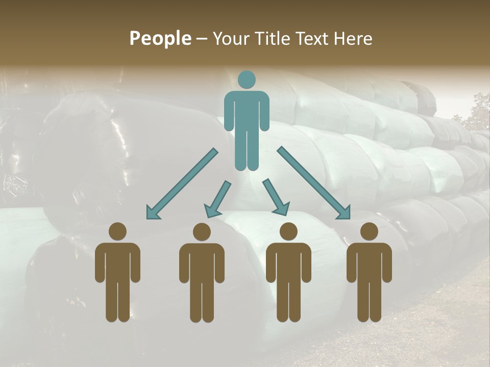 Circular Bales Of Hay Wrapped In Blue And Black Colored Plastic PowerPoint Template