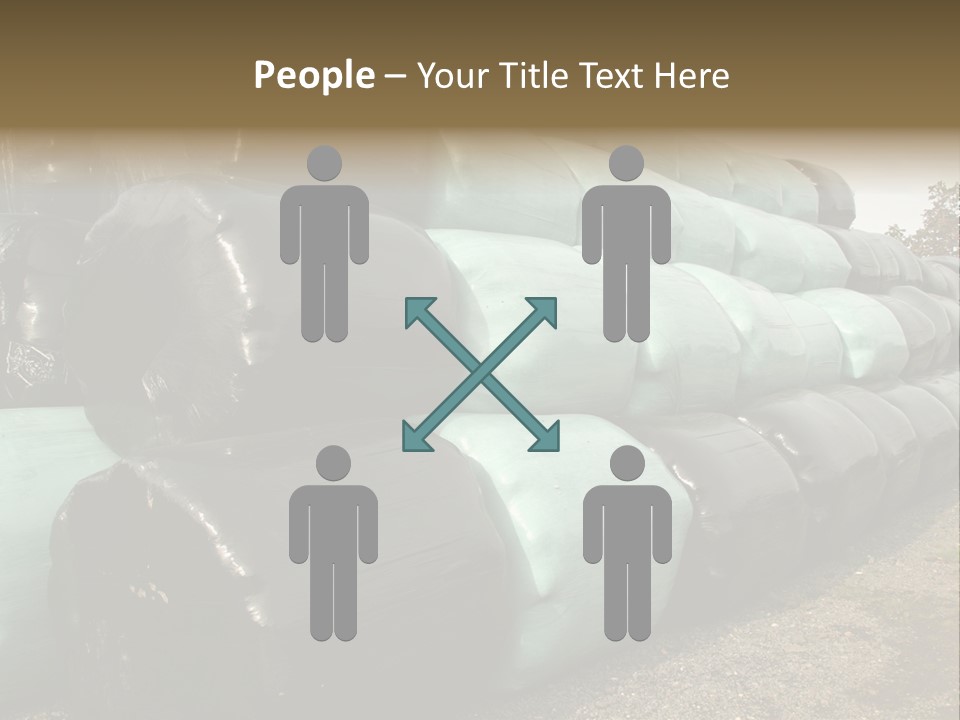 Circular Bales Of Hay Wrapped In Blue And Black Colored Plastic PowerPoint Template