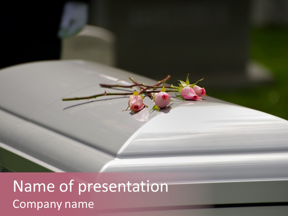 Horizontal Photo Of Three Roses On Casket At Arlington National Cemetery PowerPoint Template