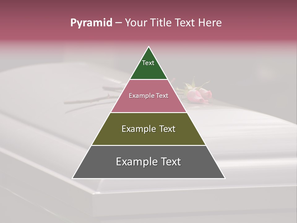 Horizontal Photo Of Three Roses On Casket At Arlington National Cemetery PowerPoint Template