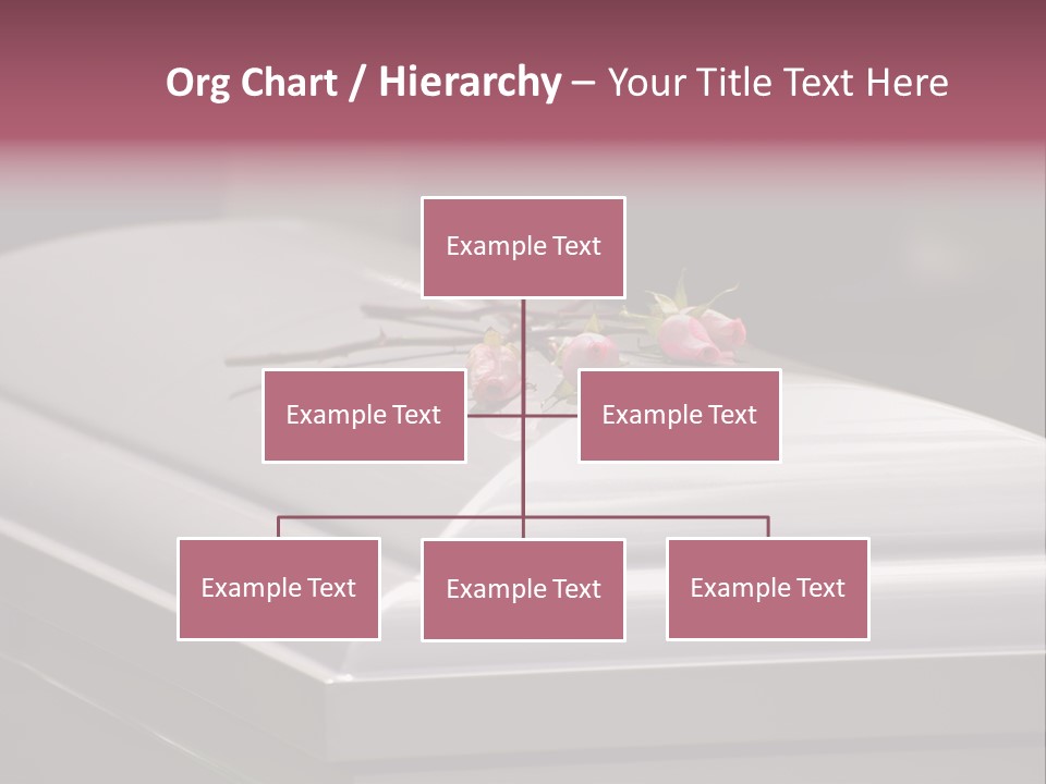 Horizontal Photo Of Three Roses On Casket At Arlington National Cemetery PowerPoint Template