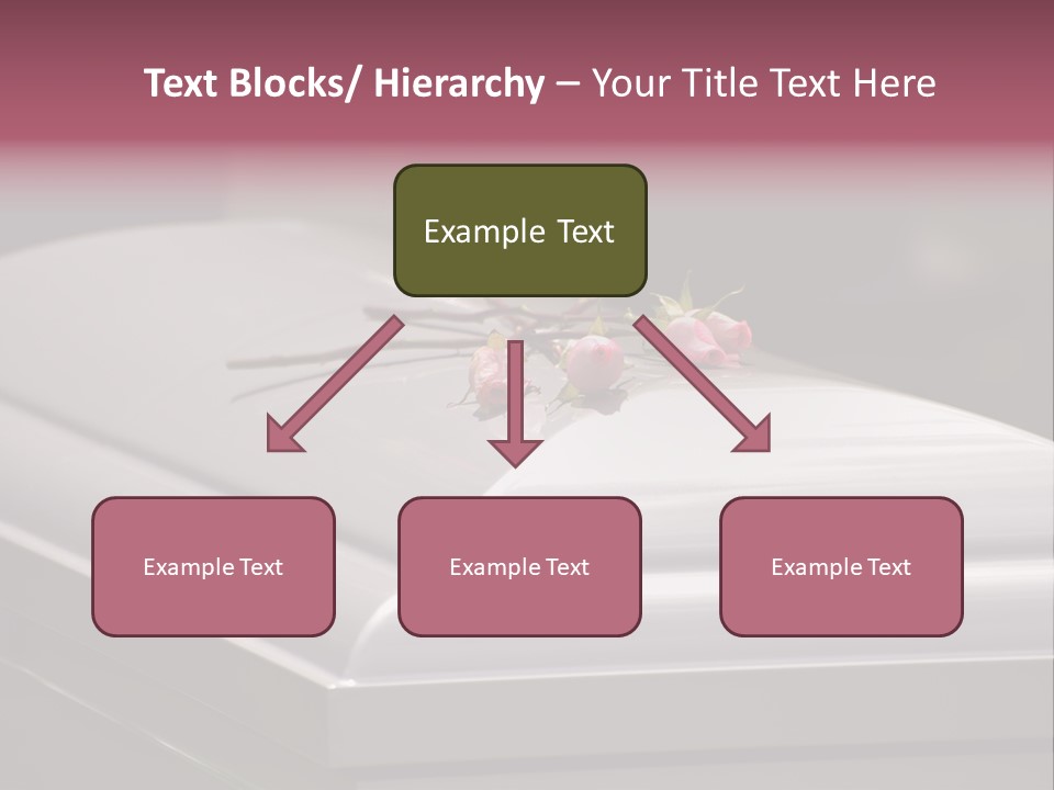 Horizontal Photo Of Three Roses On Casket At Arlington National Cemetery PowerPoint Template