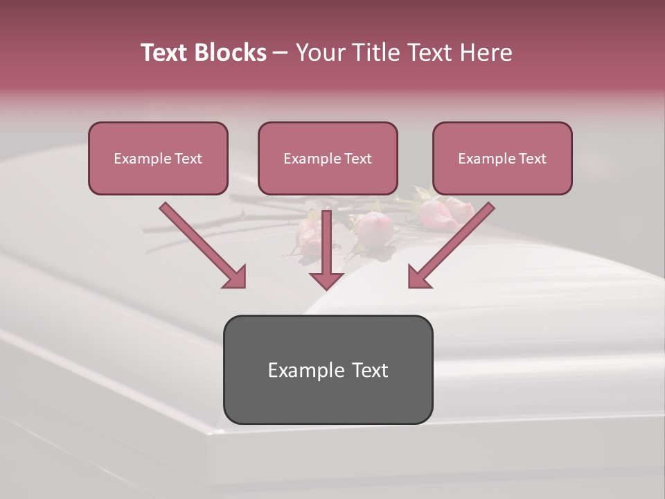 Horizontal Photo Of Three Roses On Casket At Arlington National Cemetery PowerPoint Template