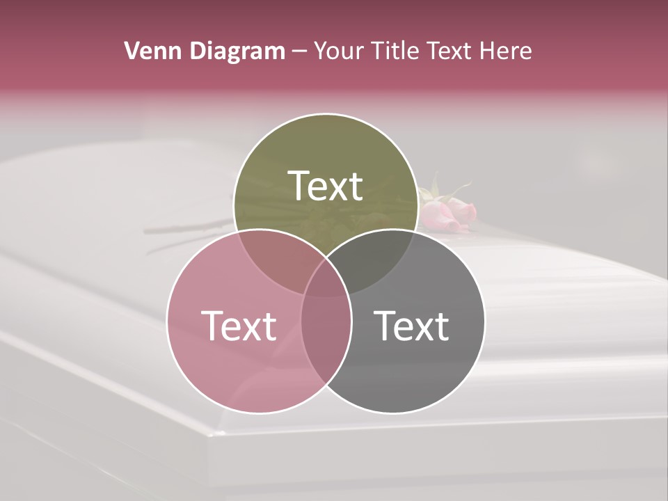 Horizontal Photo Of Three Roses On Casket At Arlington National Cemetery PowerPoint Template