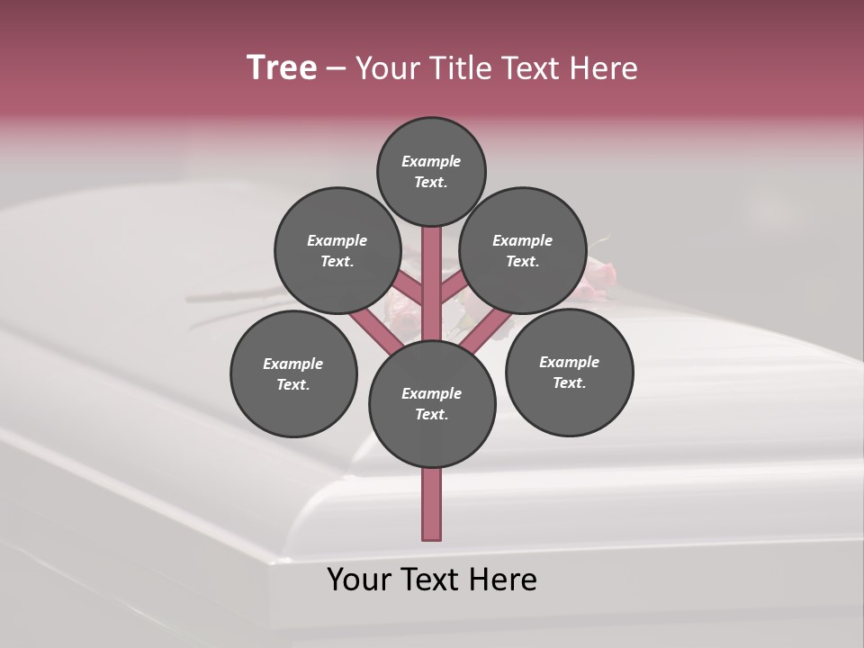 Horizontal Photo Of Three Roses On Casket At Arlington National Cemetery PowerPoint Template