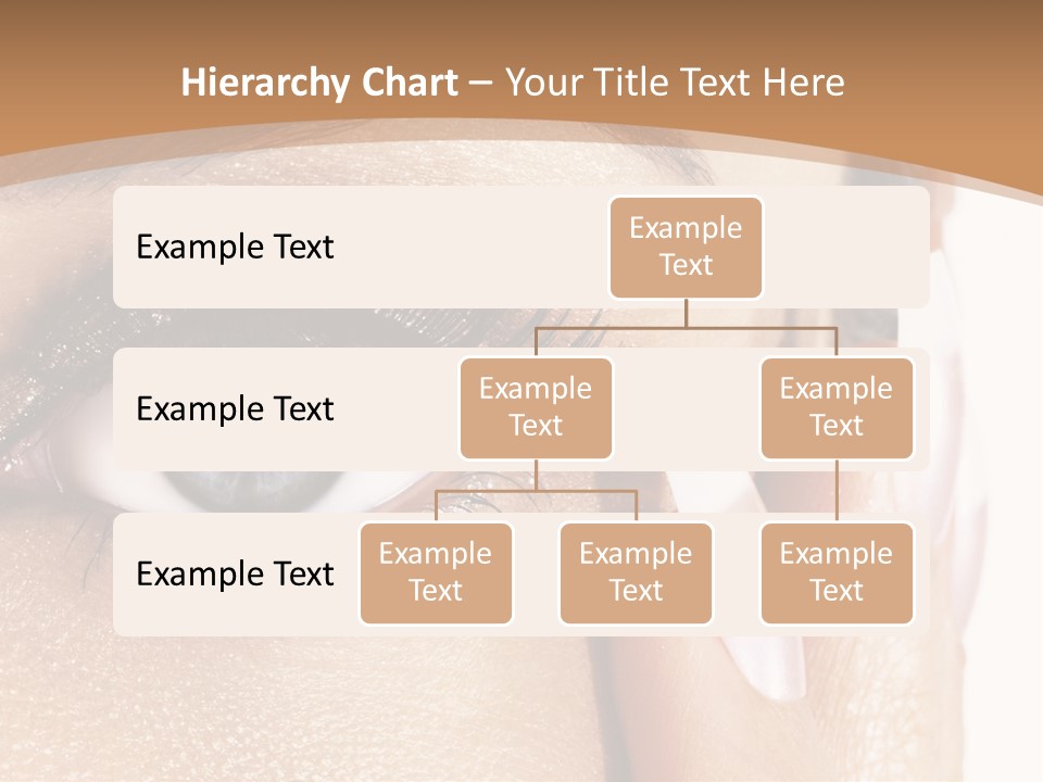 Details Of Beauty PowerPoint Template