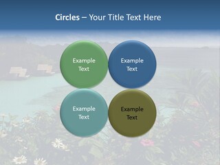 Monarch Butterfly PowerPoint Template