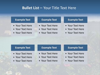 Monarch Butterfly PowerPoint Template