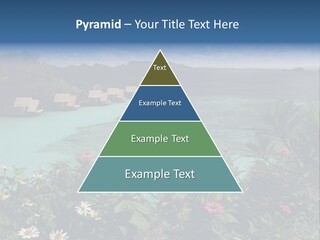 Monarch Butterfly PowerPoint Template