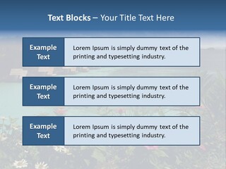Monarch Butterfly PowerPoint Template