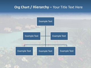 Monarch Butterfly PowerPoint Template