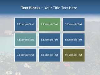 Monarch Butterfly PowerPoint Template