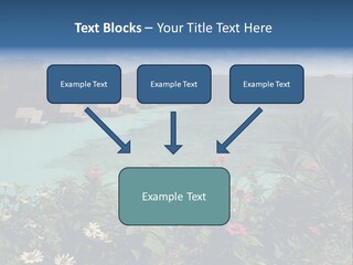Monarch Butterfly PowerPoint Template