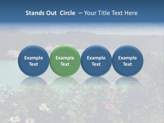 Monarch Butterfly PowerPoint Template