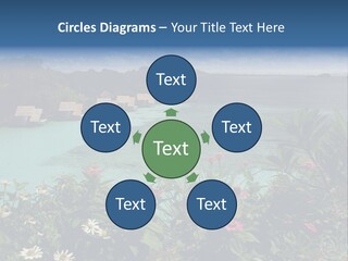 Monarch Butterfly PowerPoint Template