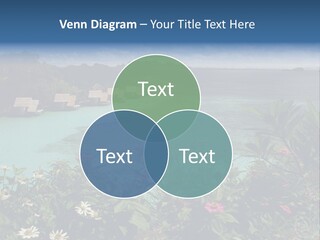 Monarch Butterfly PowerPoint Template